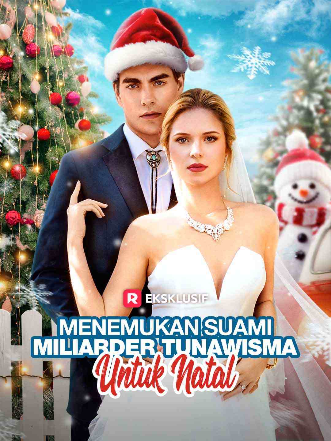 Menemukan Suami Miliarder Tunawisma untuk Natal